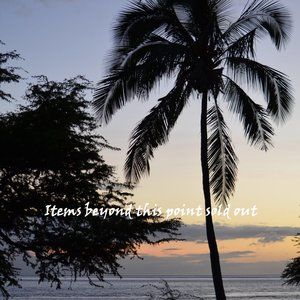 Items beyond this point are sold out.